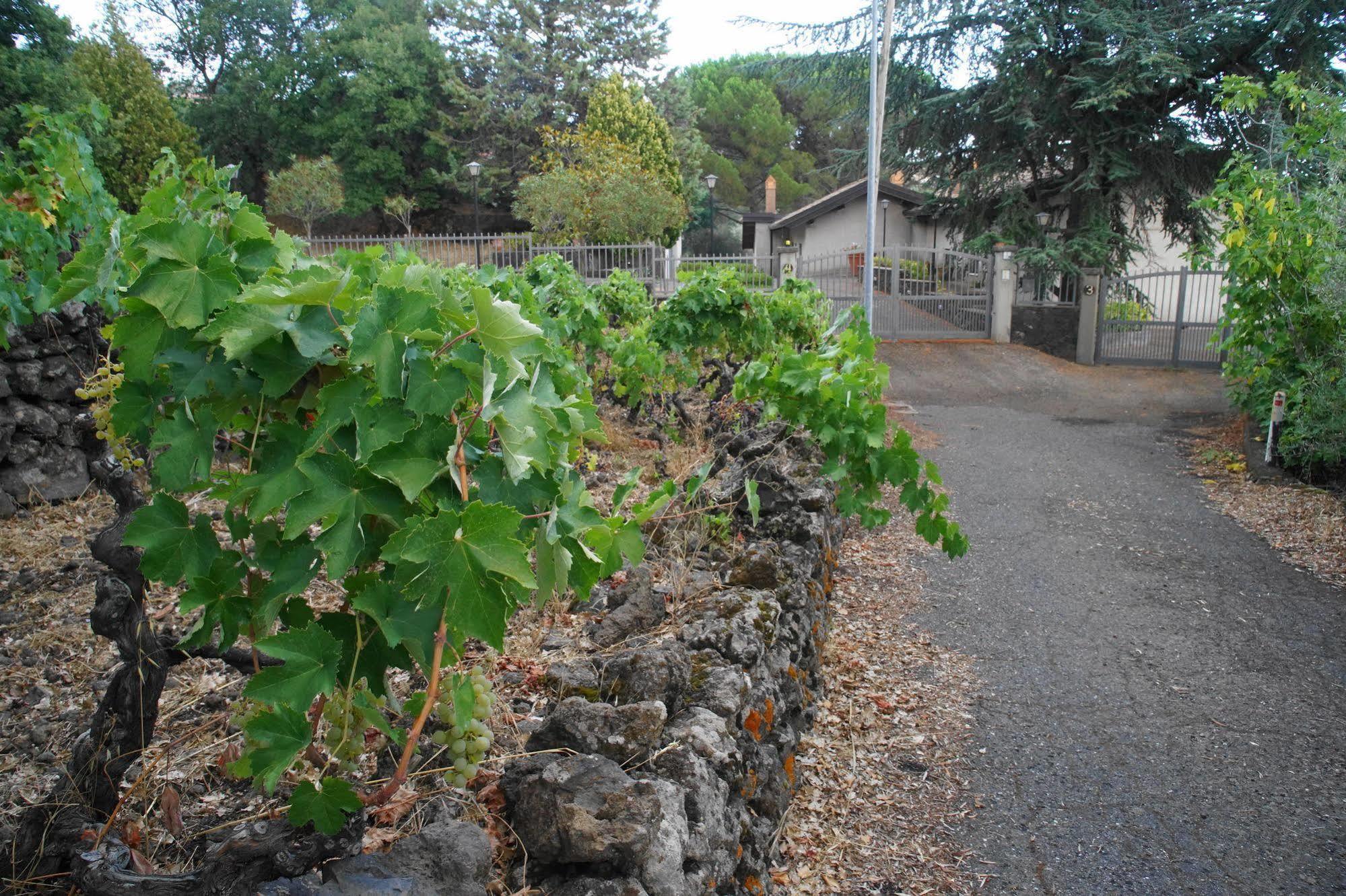 Etna Paradise Locazioni Brevi Villa Ragalna Eksteriør billede